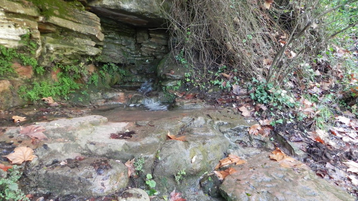 👥 Amb Narcís Prat, biòleg, Gerard Batalla, pagès i activista, i Ariadna Tremoleda, permacultora implicada en el projecte cooperatiu Mas Les Vinyes. Modera: Anaïs Sastre, membre de les cooperatives l’Aresta i Arran de Terra.
  
🕓 A les 18.30 h.  

📎 tuit.cat/vAxrJ