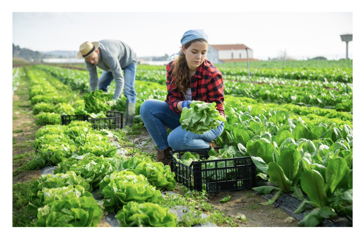 Association Adie (@adieorg) on Twitter photo Le groupe <a href="/BNPParibas/">BNP Paribas Group</a> octroie les premiers financements inclusifs durables à trois grands acteurs de la microfinance : l'Adie (France), <a href="/PerMicro_/">PerMicro</a> (Italie) et <a href="/banco_familia/">Banco da Família</a> (Brésil) !
En savoir plus >> bit.ly/3sBjqCS Le groupe <a href="/BNPParibas/">BNP Paribas Group</a> octroie les premiers financements inclusifs durables à trois grands acteurs de la microfinance : l'Adie (France), <a href="/PerMicro_/">PerMicro</a> (Italie) et <a href="/banco_familia/">Banco da Família</a> (Brésil) !
En savoir plus >> bit.ly/3sBjqCS