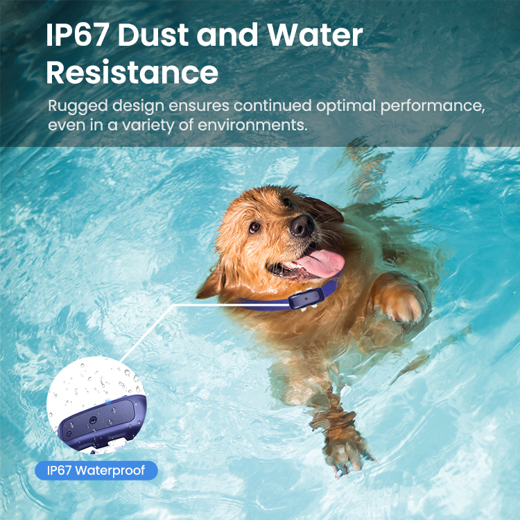 SEEWORL16960405's tweet photo. 🐶 🐱Pet Tracking
SEEWORLD Technology Empowers Harmony Between Humans and Pets, Enhancing Outdoor Safety with Technology!

Click for more details: https://t.co/JOrcxvN5BD

#SEEWORLD #Pettracking #pet #GPS #IoT https://t.co/yRx3oJPOnY