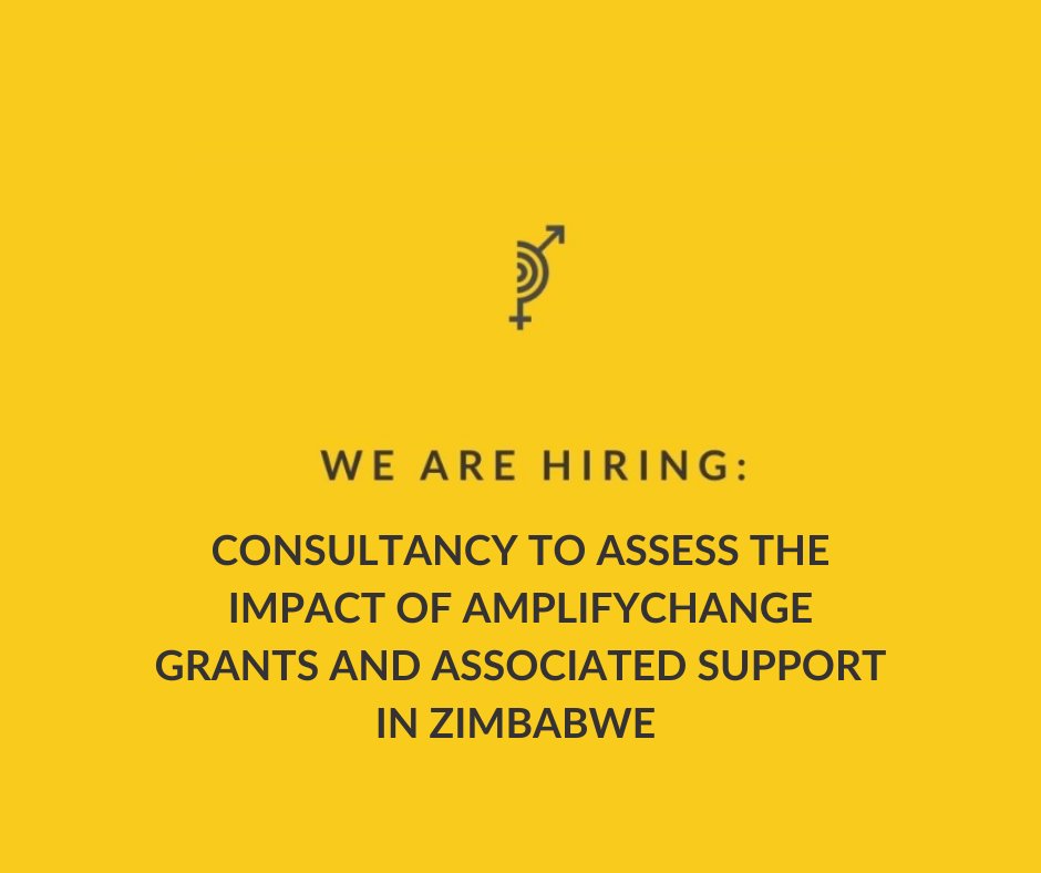 We’re looking for a #consultant based in #Zimbabwe to carry out an analysis of AmplifyChange #funding &amp; its impact on the safe abortion movement! Interested? Read more at our job posting here: amplifychange.org/2023/11/20/we-… #SRHR