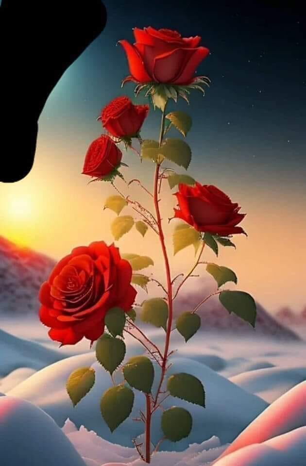 ‏ مزعج جدا وهادي للغاية (@5i_22) on Twitter photo 