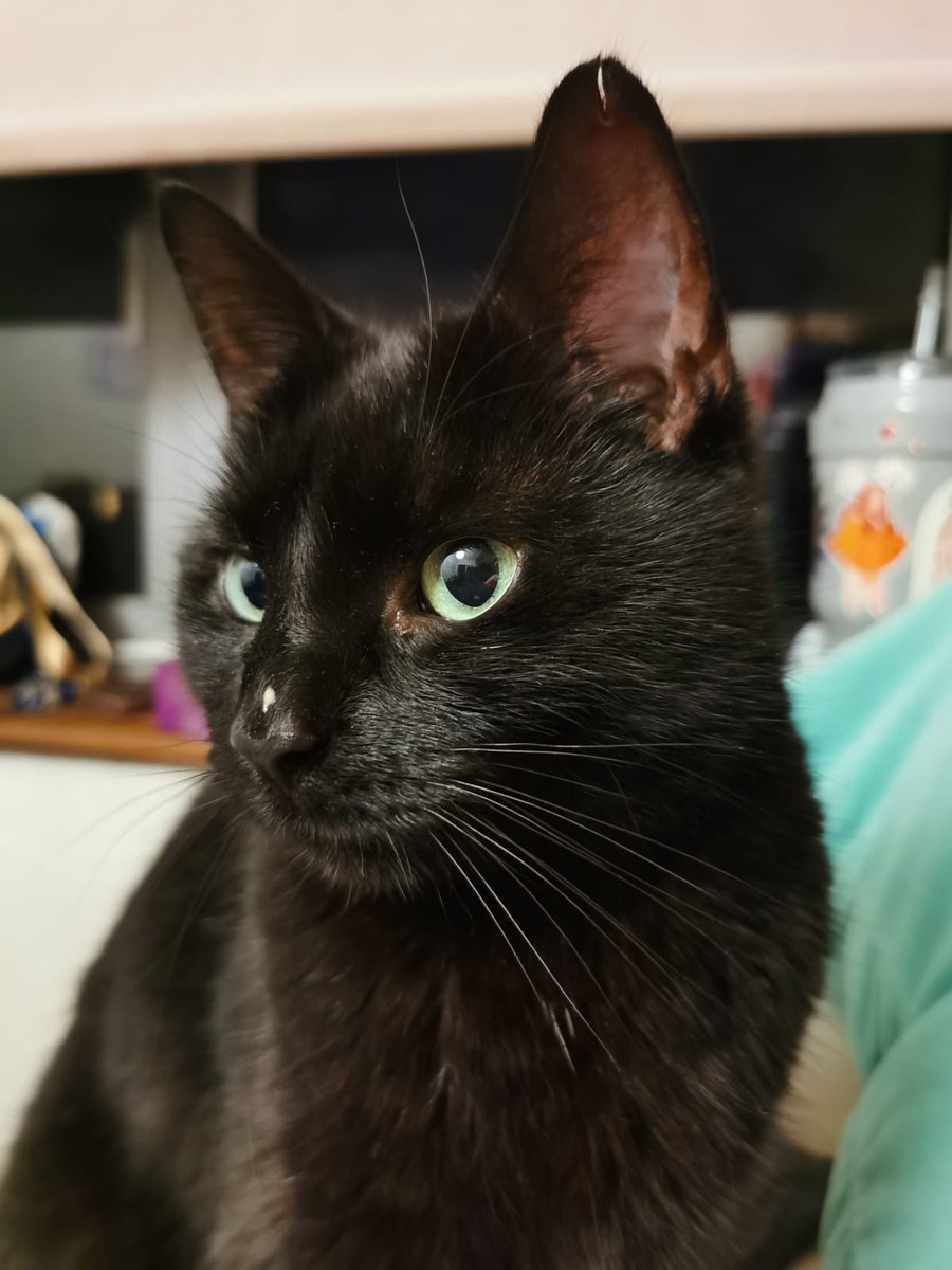 Jo Willis (JoBW- same at Bluesky) tweet media