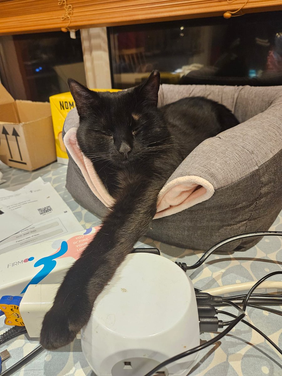 Jo Willis (JoBW- same at Bluesky) tweet media