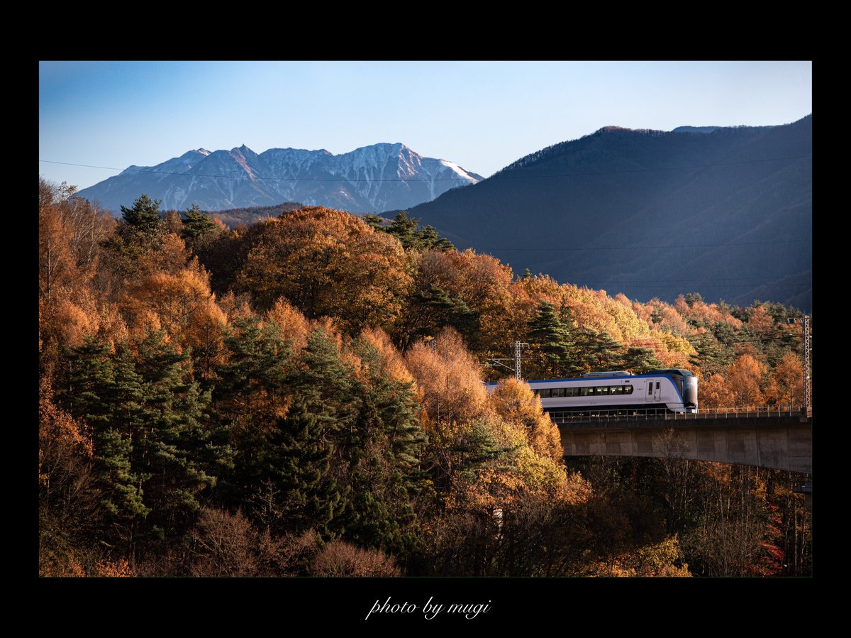 むぎお むぎ (@kaijiseriese257) / Posts / X