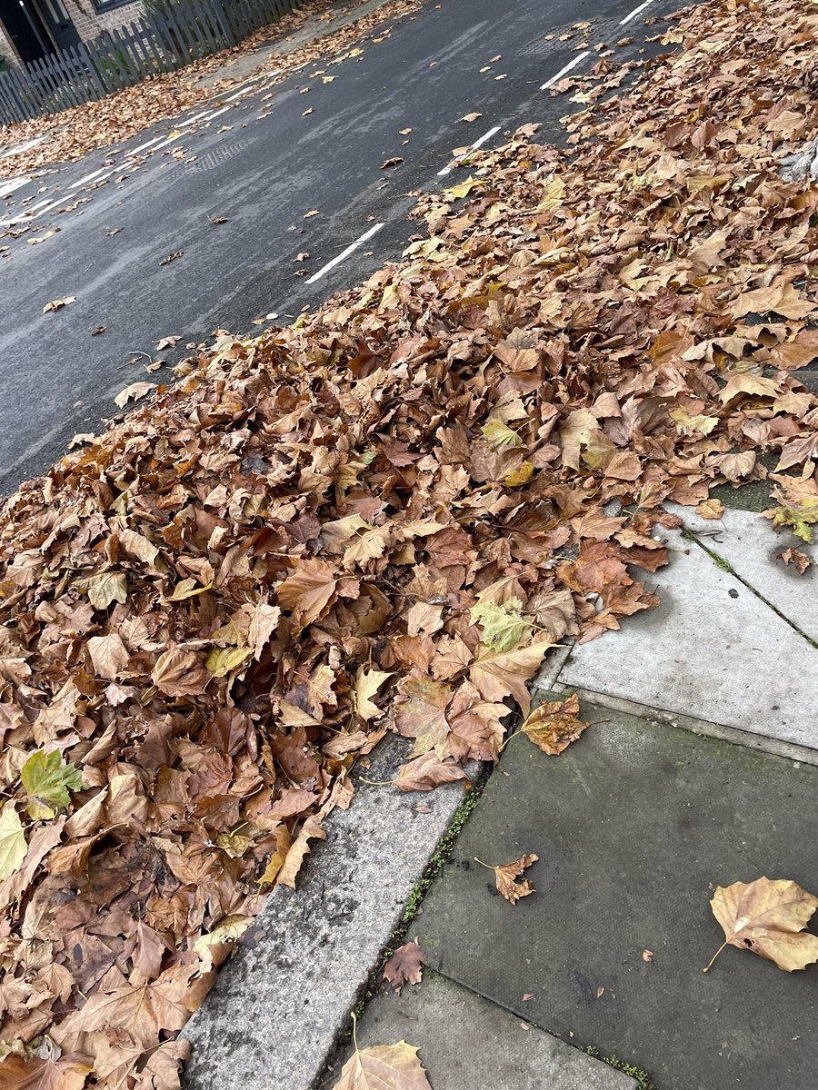 athleticlatino tweet media