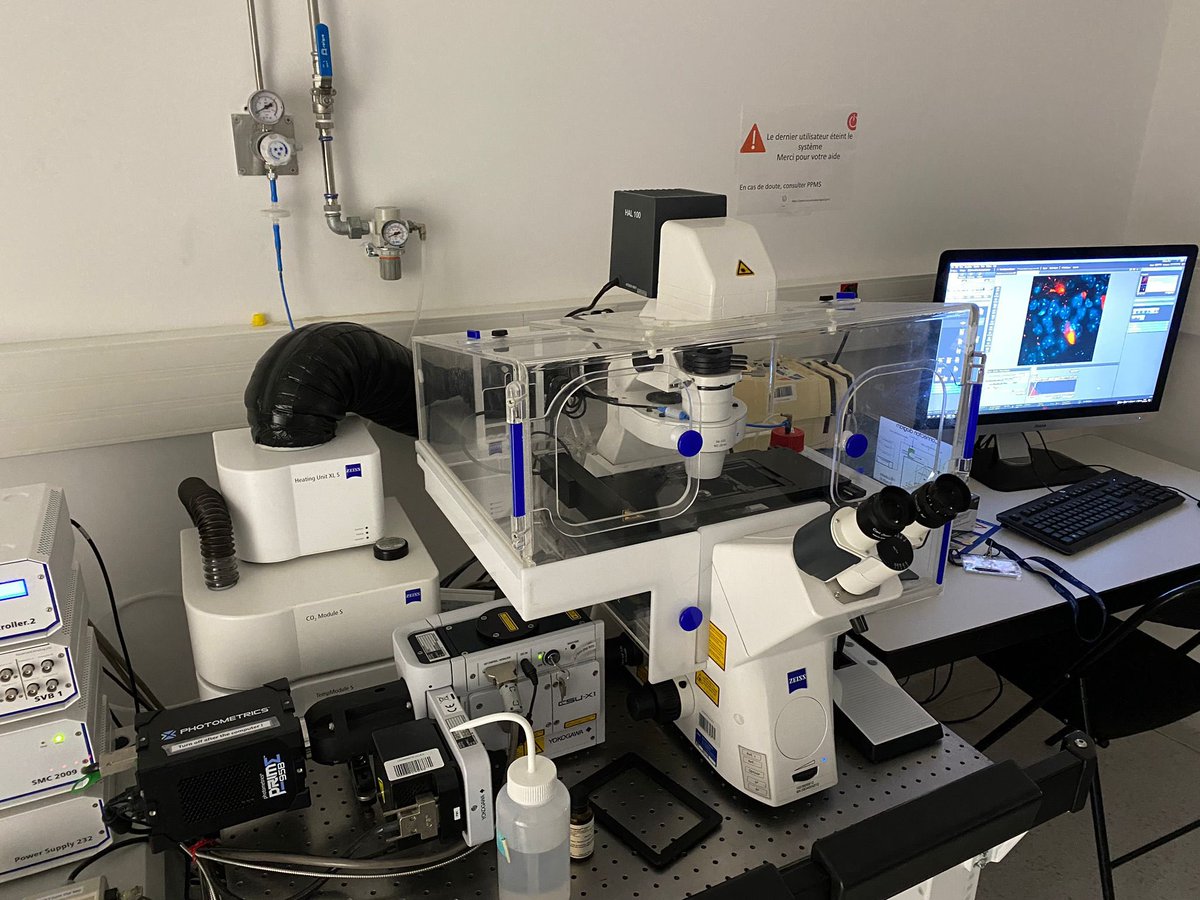 🔬Excur'Sciences 1/6

Les lycéens découvrent la recherche en santé avec Eurasport et les plateformes de biologie en santé #PLBS. Bonus du parcours : une visite spéciale d’@ONCOLille, l'institut de recherche interdisciplinaire en cancérologie.