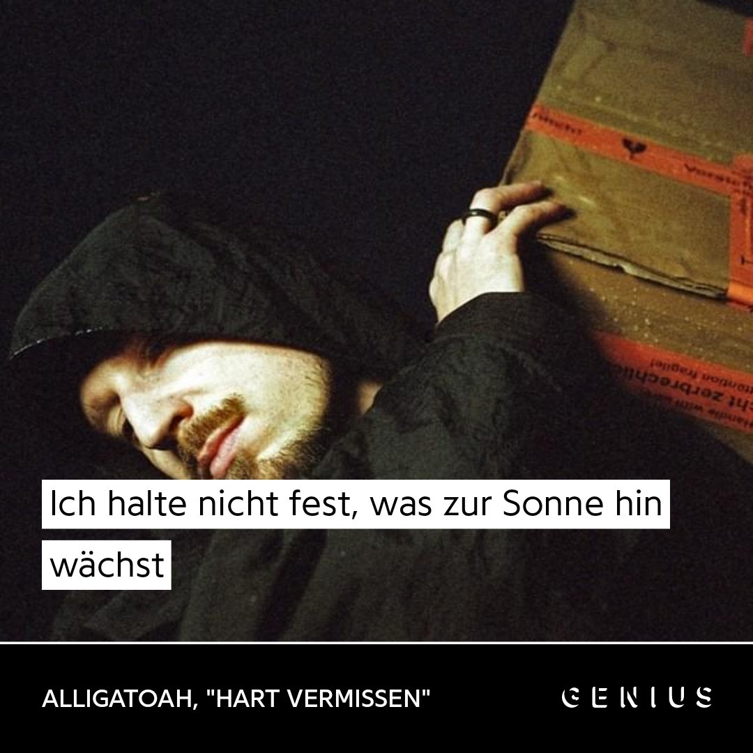 'Aber ehrlich gesagt werd' ich dich hart vermissen.' 💔