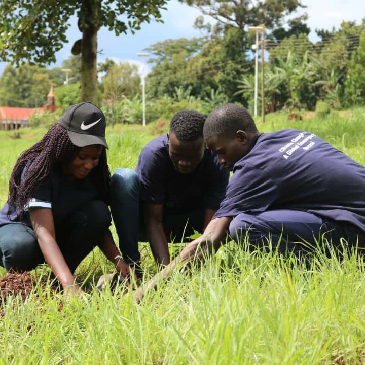 cceai_africa's tweet image. #CCEAI_AFRICA we&apos;re dedicated to creating a world where everyone can thrive alongside a thriving environment. Let&apos;s plant trees for today and future #UrbanTreePlanting #ClimateActionNow