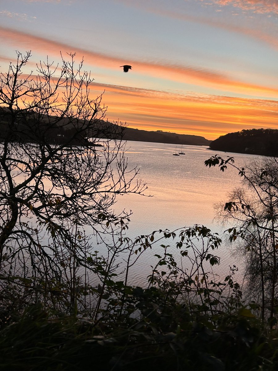 Good morning from Union Hall, what a sky this morning 😍 so appreciative for mornings like this in #PancreaticCancerAwarenessMonth #knowthesymptons #5in6 #awareness #UnionHall #WestCork