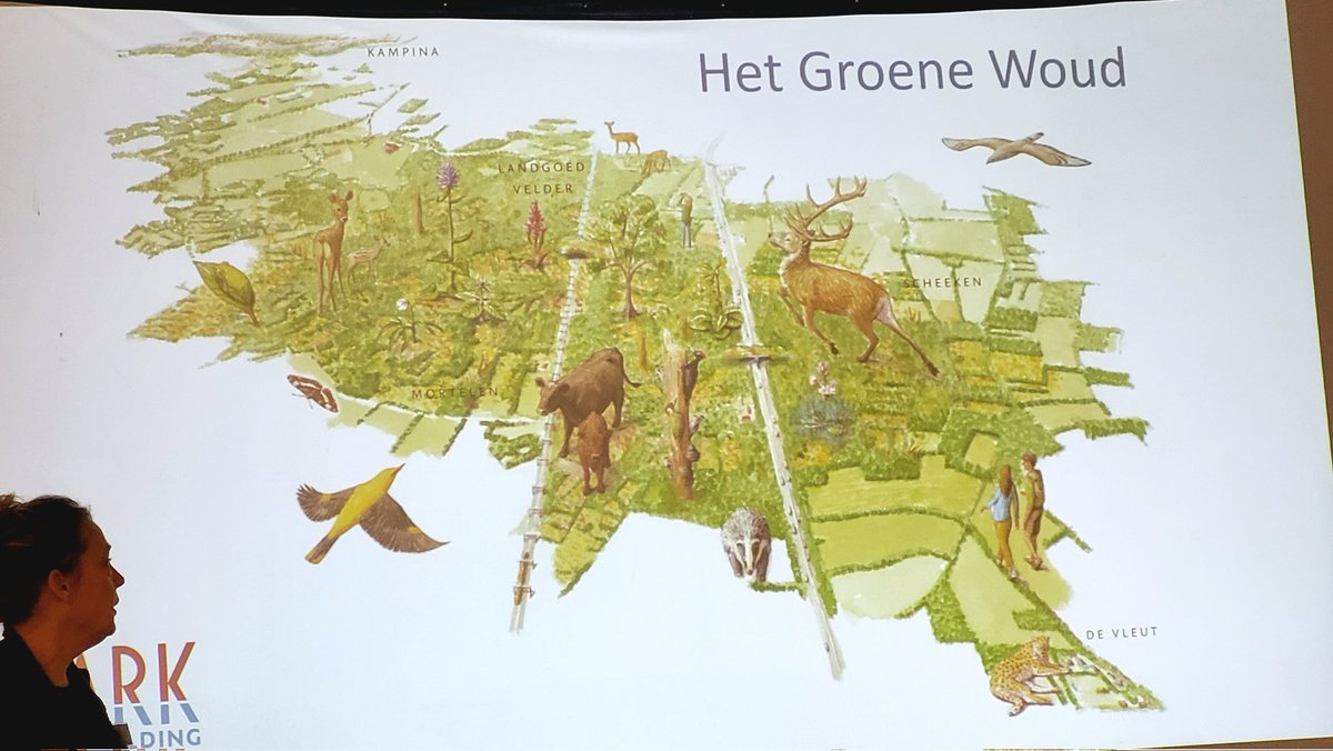 Pádraic Fogarty tweet media