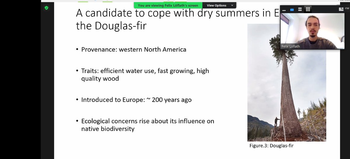 Terrestrial Ecology tweet media