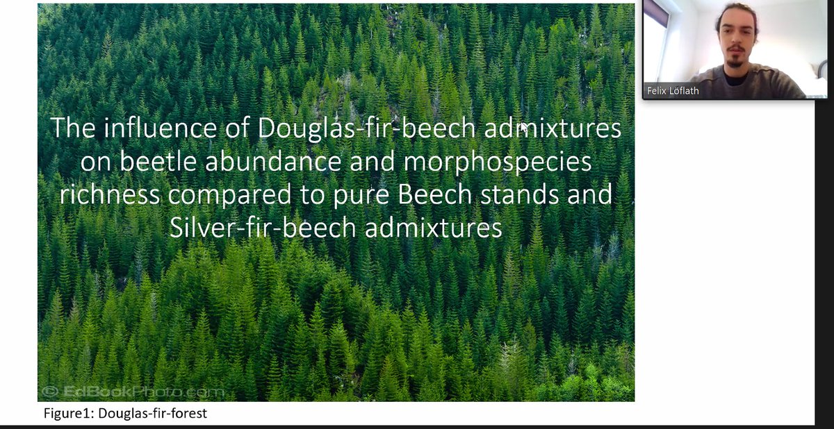 Terrestrial Ecology tweet media