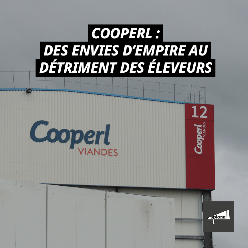 bastamedia_'s tweet photo. Derrière les marques de jambon Brocéliande ou Madrange figure la #Cooperl, première coopérative porcine française. Une nouvelle investigation de @Splannenquetes par @kristenfalc et @ILogvenoff, révèle les tourmentes financières du géant du porc.
https://t.co/rVEgEvCn2w https://t.co/k1qivbldVr