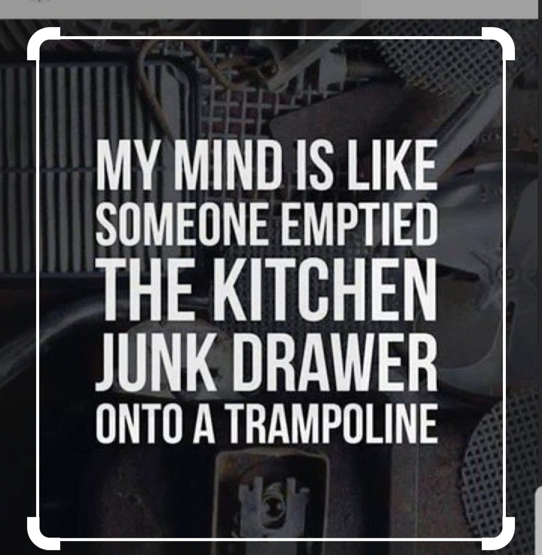Morning twitterverse #prfam