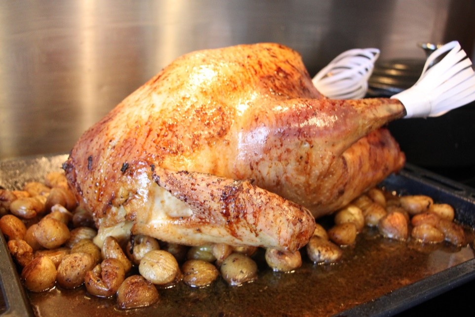 El #galldindi és el 14% de la producció avícola de carn de la Unió Europea. A Catalunya es fan 66.5 milions de kg de carn de gall dindi i són les comarques de l’Ebre les grans productores, gairebé un 86 del total.. #FederacióAvícolaCatalana #Thasksgiving