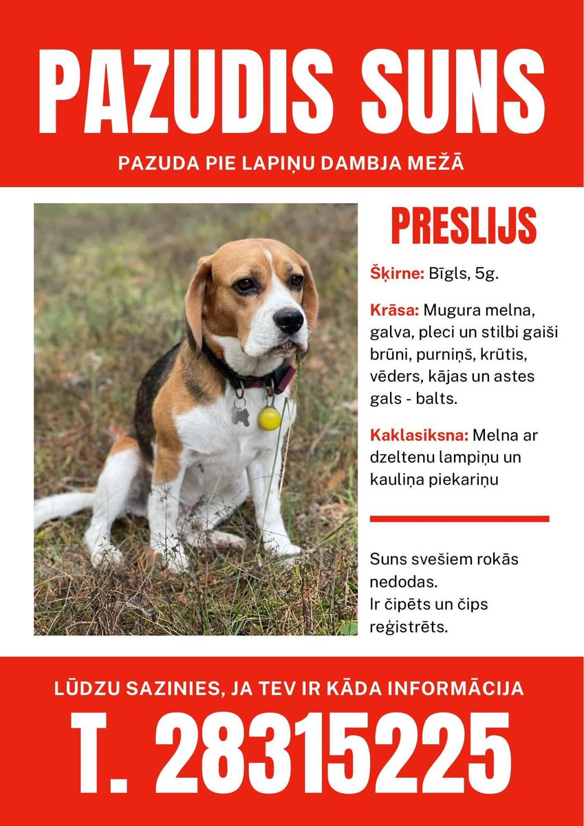zandazarina_'s tweet image. ⚠️Līdz šim pārmeklētās teritorijas⚠️
Ļoti lūdzam apkārtnes iedzīvotājus būt vērīgiem un ziņot, ja redzat Presliju! Viņam jānāk mājās! 
#pazudissuns #repost #mārupe #riga #Preslijs