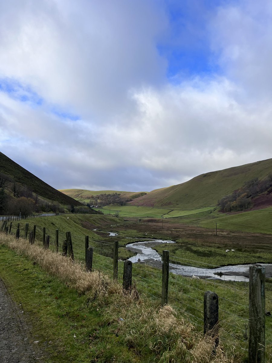 Lauren Gray @Wilsonphotography tweet media