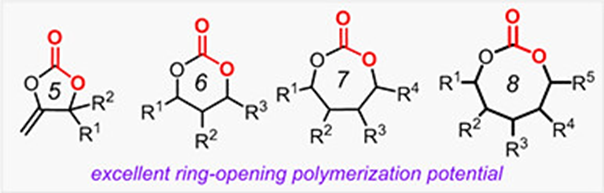 Elva Hu (@elvahupin) on Twitter photo Recent Advances in the Synthesis and Polymerization of New CO2-Based Cyclic Carbonates
<a href="/Wiley_Chemistry/">Wiley Chemistry</a> @WileyEngineer <a href="/wileyinresearch/">Wiley in research</a> <a href="/InnovationChem/">The Innovation | Chemistry</a> <a href="/isciverse/">Top Science</a> <a href="/Innov_Materials/">The Innovation Materials</a> @WileyPolymers
doi.org/10.1002/cjoc.2… Recent Advances in the Synthesis and Polymerization of New CO2-Based Cyclic Carbonates
<a href="/Wiley_Chemistry/">Wiley Chemistry</a> @WileyEngineer <a href="/wileyinresearch/">Wiley in research</a> <a href="/InnovationChem/">The Innovation | Chemistry</a> <a href="/isciverse/">Top Science</a> <a href="/Innov_Materials/">The Innovation Materials</a> @WileyPolymers
doi.org/10.1002/cjoc.2…