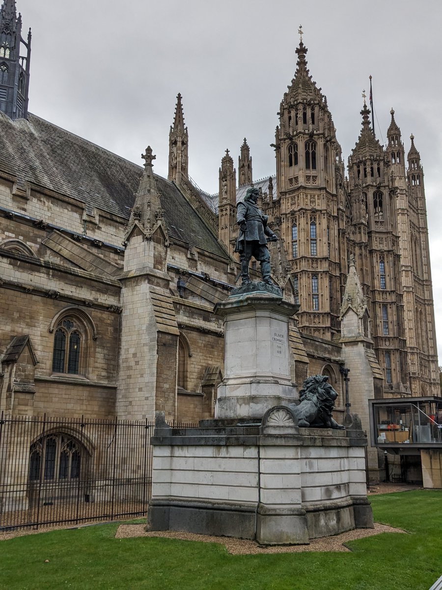 SavientBugs tweet media