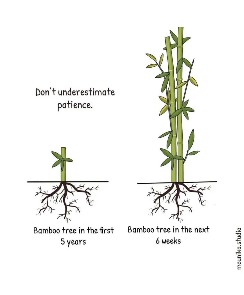 I didn’t know I needed to see this. 

Growth also needs the right time to be exponential, be patience and consistent.