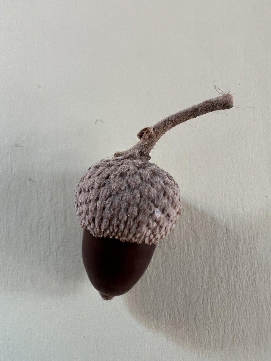 Il meraviglioso frutto delle querce