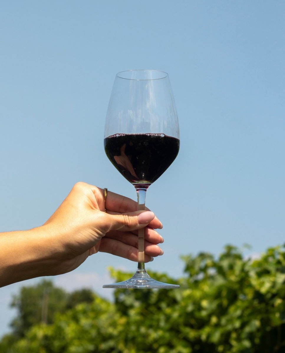 Icewine Africa (@icewinea) on Twitter photo #VintnersQualityAlliance guarantees top #CanadianWines with strict quality standards. Each bottle reflects unique terroir, proudly brought to South Africa by <a href="/IcewineA/">Icewine Africa</a>. Shop premium wines this festive season: icewineafrica.com #christmasshopping #VintnersQualityAlliance guarantees top #CanadianWines with strict quality standards. Each bottle reflects unique terroir, proudly brought to South Africa by <a href="/IcewineA/">Icewine Africa</a>. Shop premium wines this festive season: icewineafrica.com #christmasshopping