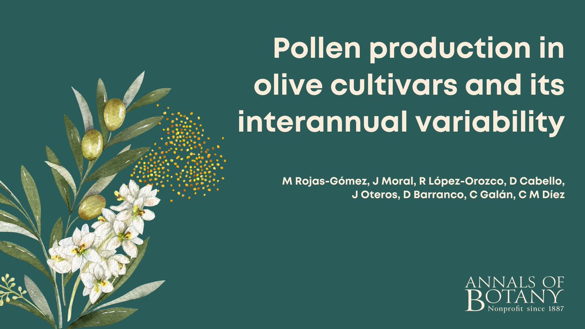 annbot's tweet image. 🌳Join us to learn about the free access paper ‘Pollen production in olive cultivars and its interannual variability’ in @annbot by Mercedes Rojas-Gomez and co-authors doi.org/10.1093/aob/mc… #AoBpapers (1/7)
