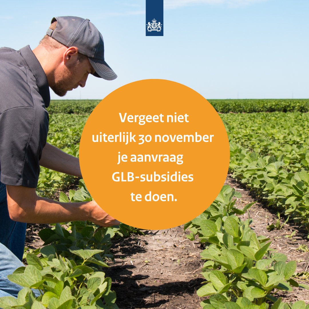 Je hebt nog tot en met 30 november 2023 om je aanvraag van GLB-subsidies te doen. 

Hulp nodig? Neem dan contact met ons op. We zijn op 29 en 30 november geopend tot 20:00 uur.
📞 088 - 0424242 
📱 of via de chat op onze website. 

Meer informatie ➡️ rvo.nl/onderwerpen/gl…

#GLB