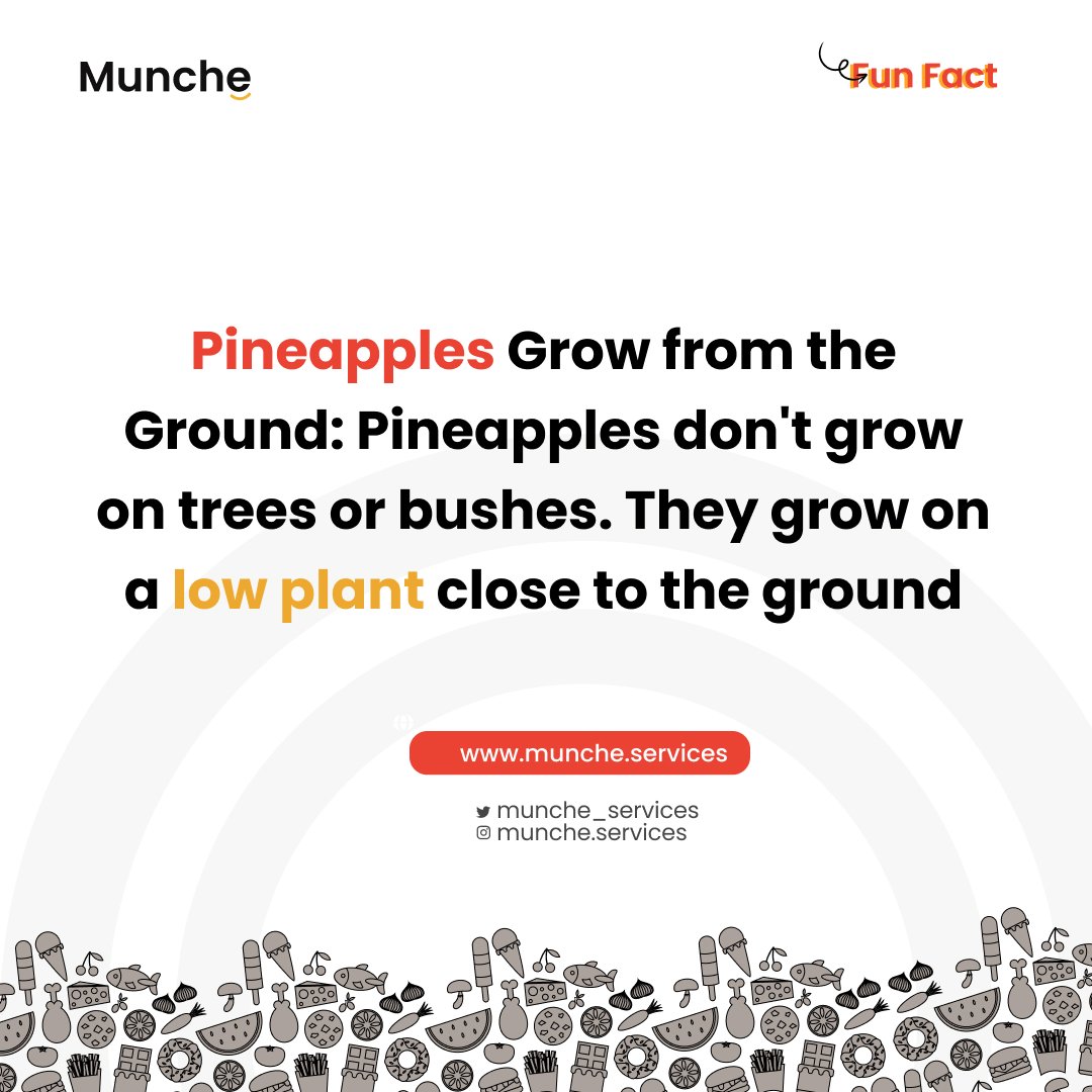 munche_services's tweet image. Here at munche we make learning really easyyy.

#tuesdaysareforlearning 
#tuesdayfunfacts 
#learningmadeeasy