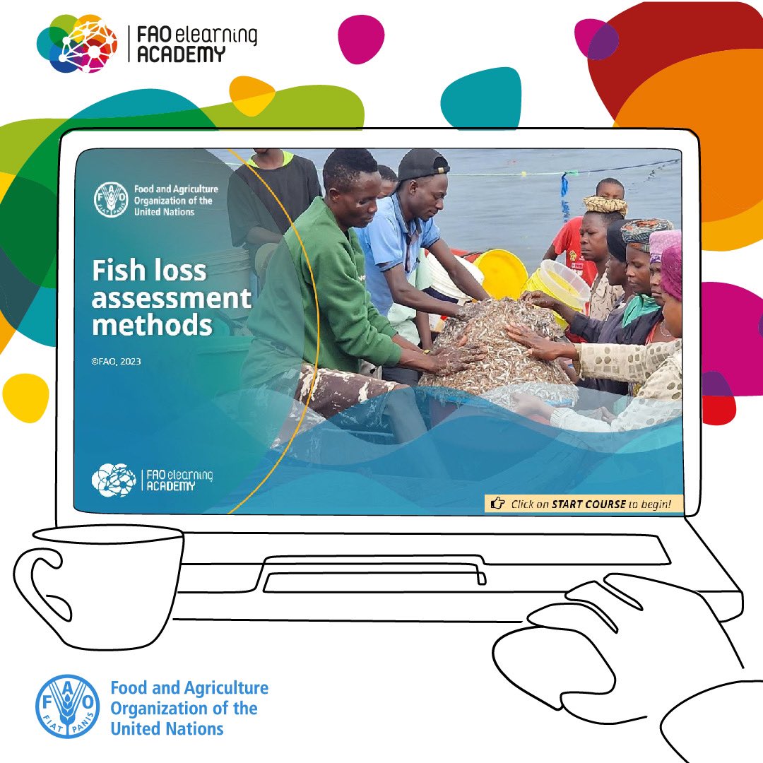 Manu_FAO's tweet photo. Happy to share the release of a @FAOfish e-learning course on fish loss and waste. Free, of course, as always for @FAO courses —> https://t.co/PKYVOLzObb https://t.co/fibAAIalA5