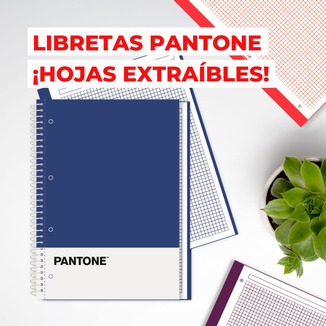 Escolofi's tweet photo. ¿Haces resúmenes en las libretas, pero luego no puedes separar las hojas para llevarte algunos folios sueltos? 

Con las libretas Pantone podrás escribir todo lo que quieras y luego arrancar las hojas para llevarlas a donde quieras o archivarlas. https://t.co/a9nVjL7rXF