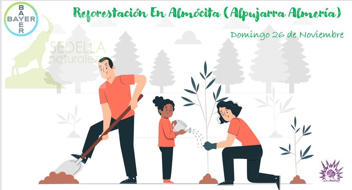 📅Mañana reforestación en Almócita🌳

Organizada por <a href="/SEDELLA_Natura/">SEDELLA Naturaleza</a> y se llevará a cabo gracias las aportaciones conseguidas en la carrera #CorrePorTuSalud23 que celebramos junto al Club Ciclista Femenino La Amatista y <a href="/SeminisIberia/">Seminis Iberia</a> el pasado mes de septiembre💪