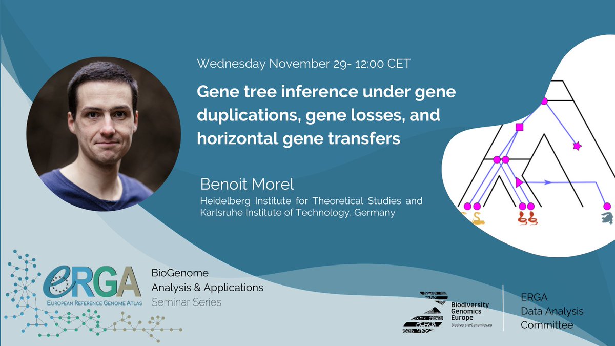 erga_biodiv's tweet photo. Save the date! Seminar by Benoit Morel on "Gene tree inference under gene duplications, gene losses and horizontal gene transfers"

📅Wednesday 29.11 - 12:00 CET

▶ https://t.co/MXpSlhIfRb

#Phylogenomics #Biodiversity #genomics #Data #Analysis #seminars

https://t.co/W4y5TF4l0D https://t.co/qqtjDGVSnP
