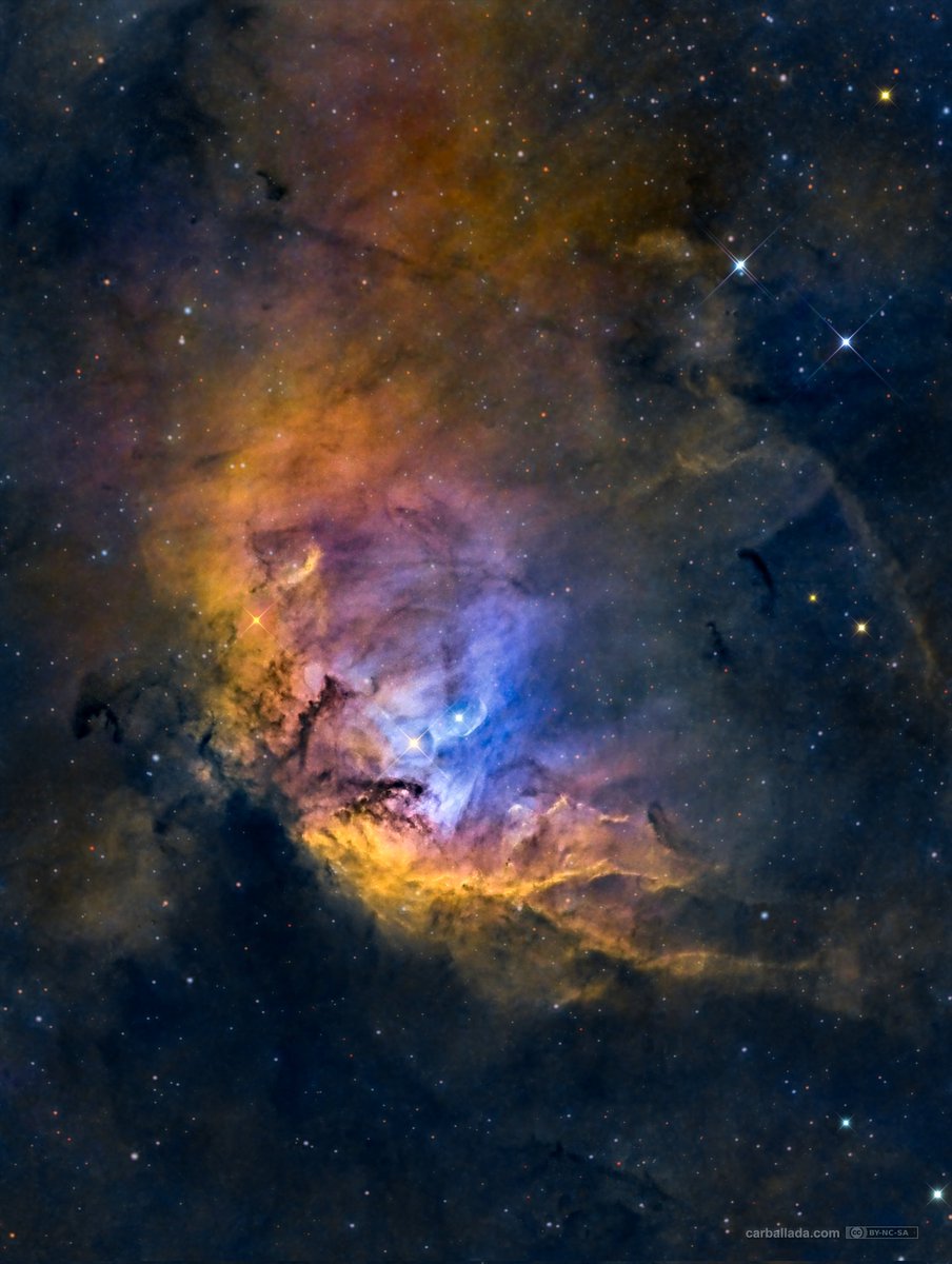 Sh2_101 The Tulip Nebula in Cygnus constellation by José Carballada. #Nebula #Space #Universe