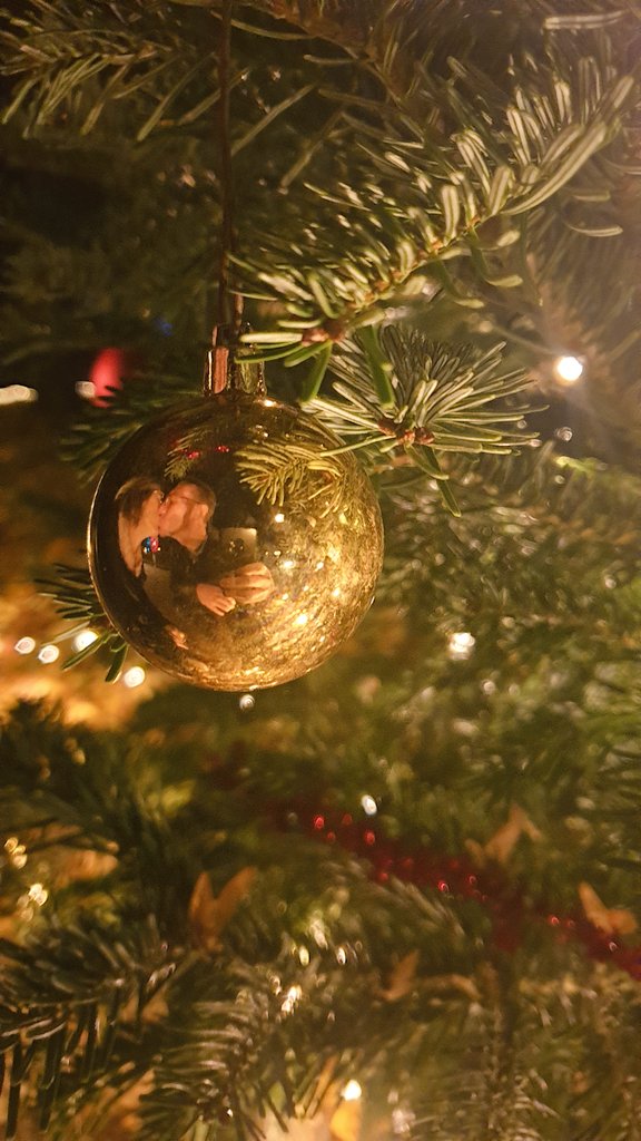 kingkarsten's tweet photo. Ein weihnachtlicher Vorgeschmack in Dresden. Schön war's.
#ilovechristmasgarden https://t.co/1bEHIwtdnq