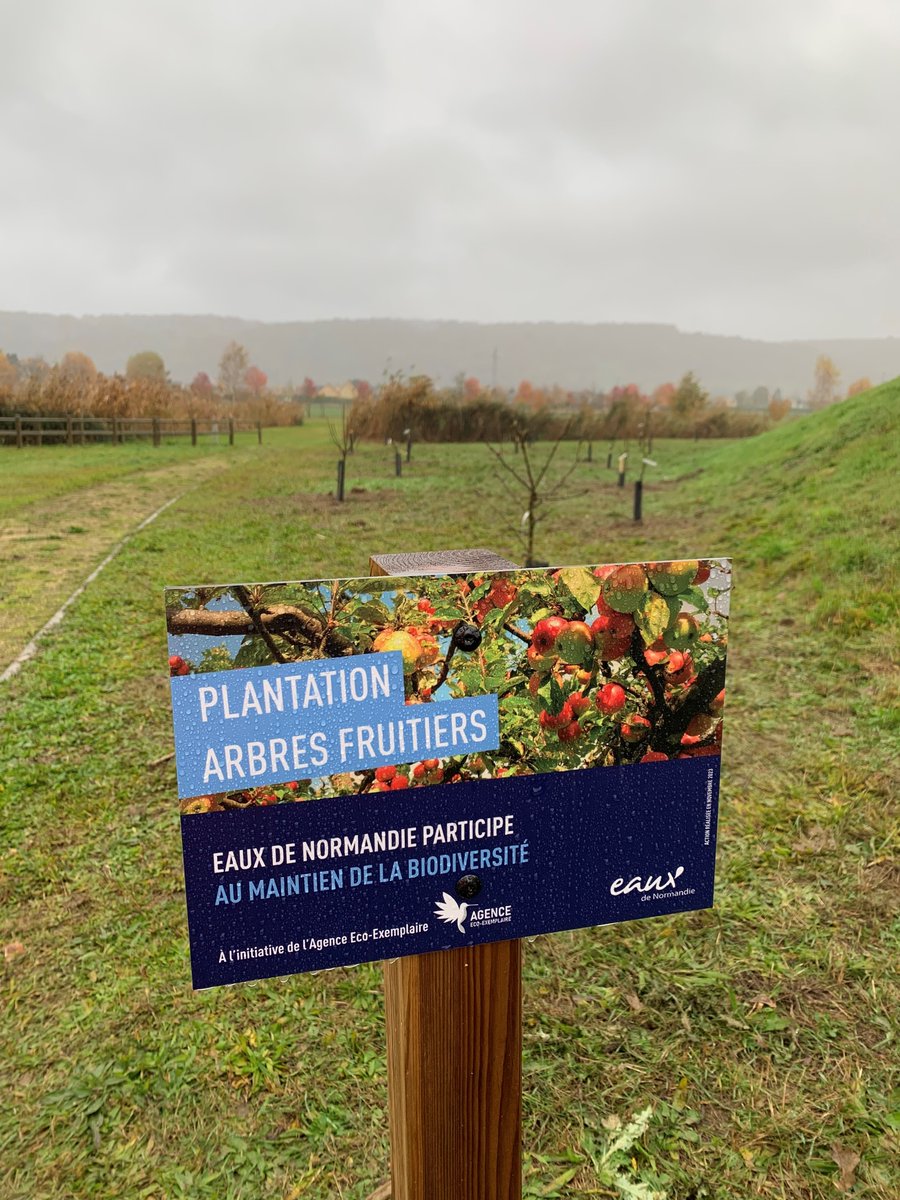 AudreyAchenza's tweet photo. Dans la cadre de notre projet d'Agence Eco-exemplaire, 25 collaborateurs d'Eaux de Normandie @suez ont participé à la plantation de 55 arbres fruitiers sur 5 sites normands avec la collaboration de @AggloSeineEure @mfr_officiel @sergeL51 @ANBDD_Ndie https://t.co/3H5izA9aos