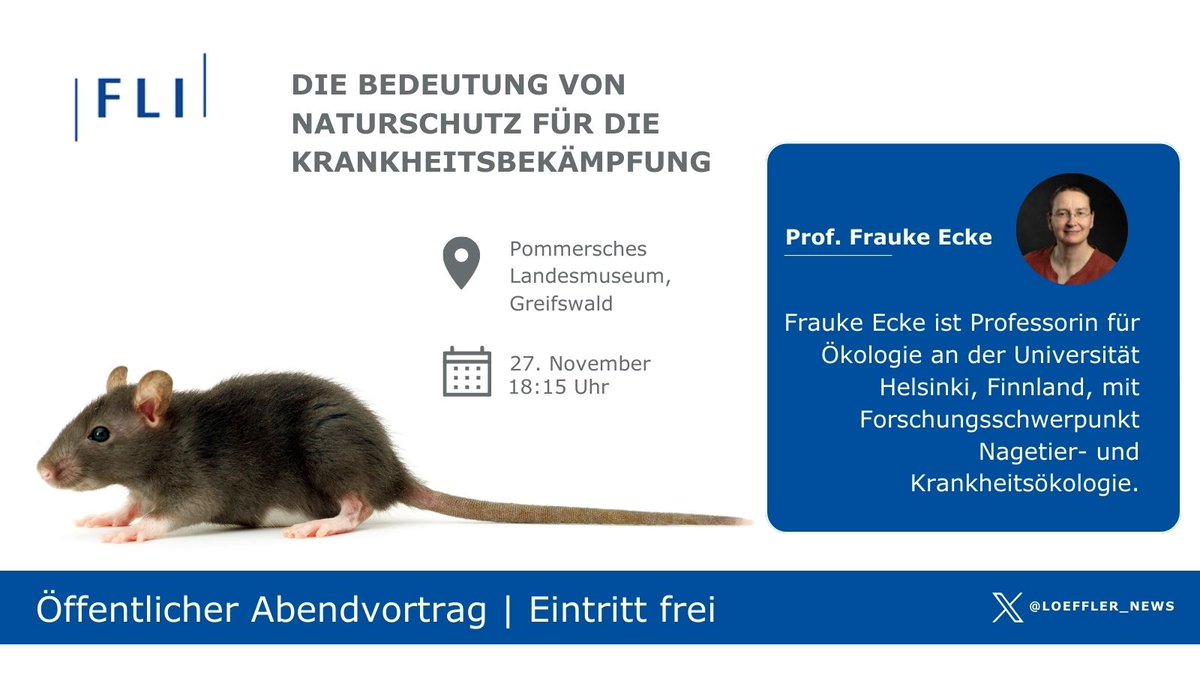 Loeffler_News's tweet photo. 👉Wir laden ganz herzlich zum #Vortrag 
"Die Bedeutung von #Naturschutz für die Krankheitsbekämpfung" von Prof. Frauke Ecke (@helsinkiuni) ein!

🗓 27. November 2023
🕒 18:15 Uhr
🏠Pommersches Landesmuseum, Greifswald

Mehr Infos finden Sie hier: https://t.co/5J7eRjw7v0 https://t.co/aijPyg9YPj