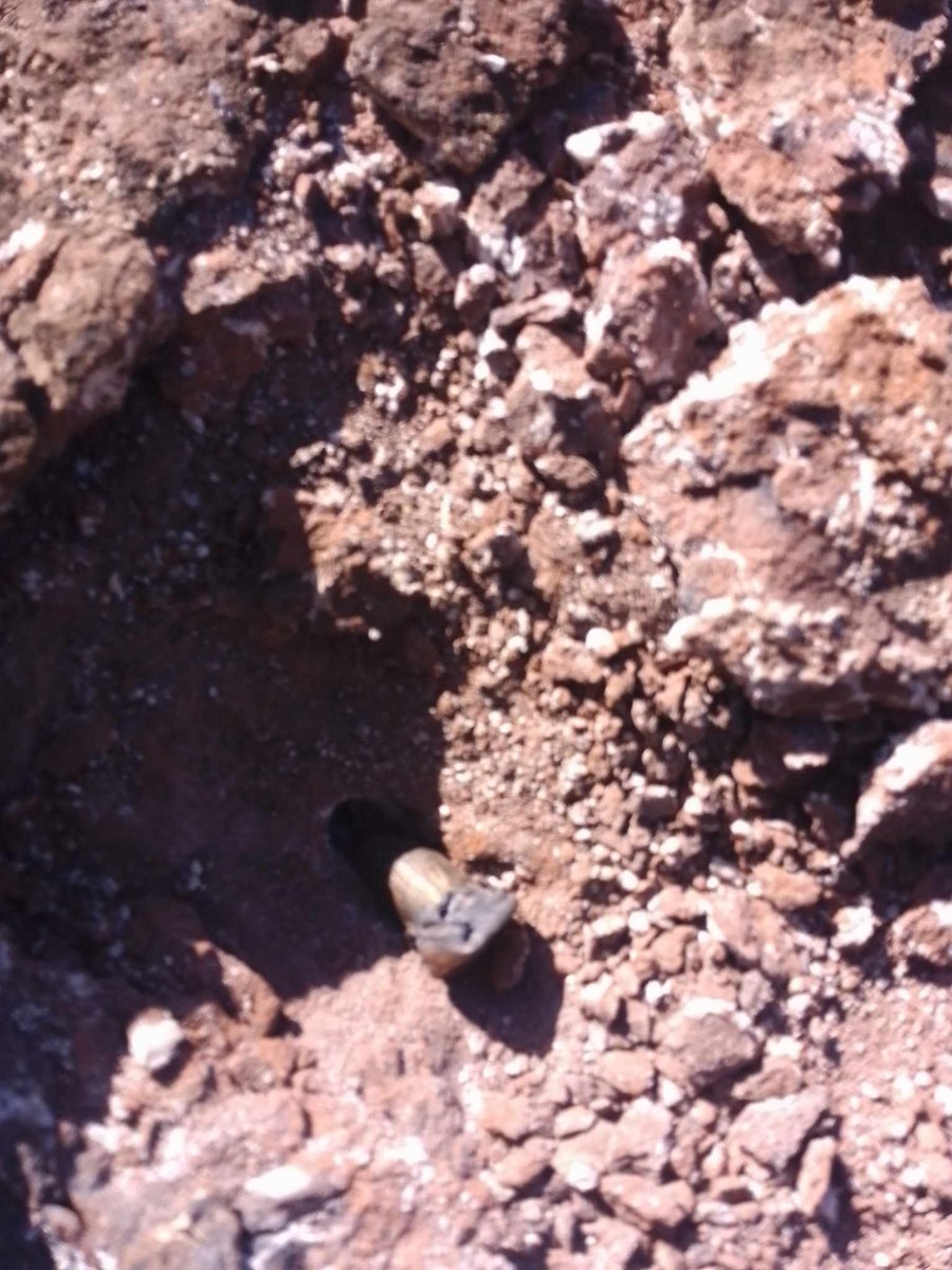 Yirga Gelaw (@yirgagelaw) on Twitter photo Bullets and artillery shells hitting very close to the famous St. Giorgis church at #Lalibela. <a href="/UNESCO/">UNESCO 🏛️ #Education #Sciences #Culture 🇺🇳</a> should send a fact finding mission to investigate the damages and possible dangers to the sacred site. <a href="/elounasso/">Lazare Eloundou</a> <a href="/AAzoulay/">Audrey Azoulay</a> <a href="/mechtildrossler/">Mechtild Rossler</a> <a href="/JyotiHosagrahar/">Jyoti Hosagrahar</a> Bullets and artillery shells hitting very close to the famous St. Giorgis church at #Lalibela. <a href="/UNESCO/">UNESCO 🏛️ #Education #Sciences #Culture 🇺🇳</a> should send a fact finding mission to investigate the damages and possible dangers to the sacred site. <a href="/elounasso/">Lazare Eloundou</a> <a href="/AAzoulay/">Audrey Azoulay</a> <a href="/mechtildrossler/">Mechtild Rossler</a> <a href="/JyotiHosagrahar/">Jyoti Hosagrahar</a>