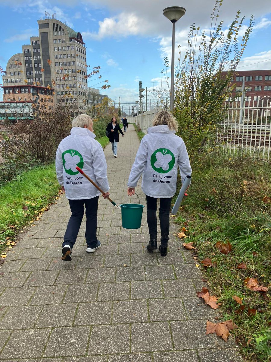 De laatste (campagne) loodjes