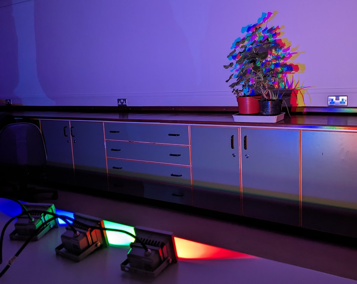 BEd4 primary science module. Teaching about light using 'coloured shadows'. Inspired by olafureliasson.net/artwork/your-u… <a href="/olafureliasson/">StudioOlafurEliasson</a>