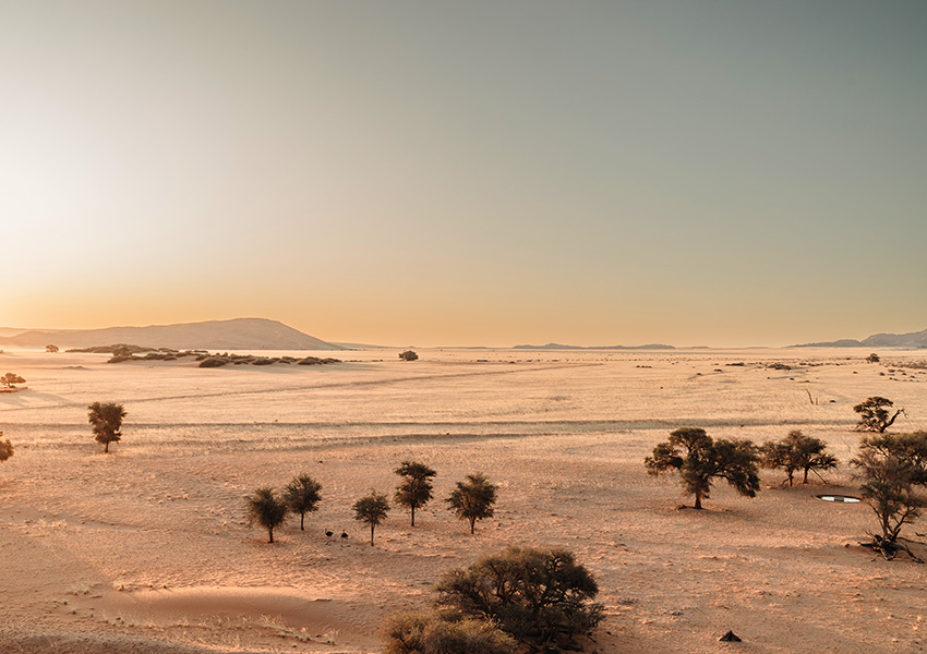 SossusvleiLodge's tweet photo. Beautiful Desert landscapes surrounding Sossusvlei Lodge!
๐ธ by Mariette du Toit Photography
>> https://t.co/f6GUP9GE4H
reservations@sossusvleilodge.com
Use promo code: SAVE20
T's&C's Apply
#Namibia #Sossusvlei #Desert #landscape #views #elimdune #tranquility https://t.co/jTW0ycqO8g