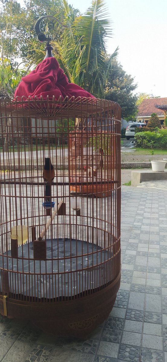 Widi Nugroho tweet media