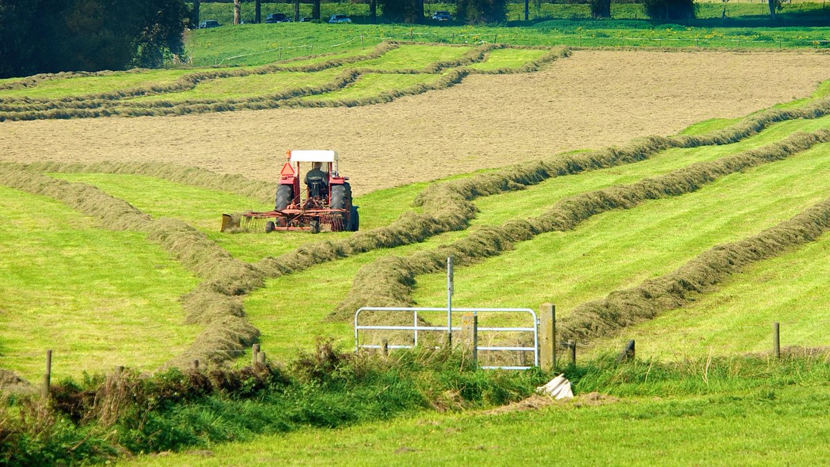 De Liemers maakt zich op voor een transitie van de landbouw. Inmiddels zijn er onder de vlag van de Liemerse Ambassade plannen gemaakt, die door de Provincie Gelderland positief zijn ontvangen. 

Lees verder via onze website:
lnkd.in/eY43MNGQ