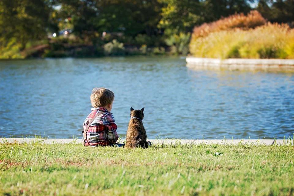 catsthatarecute's tweet photo. https://t.co/ObLhriZtz3