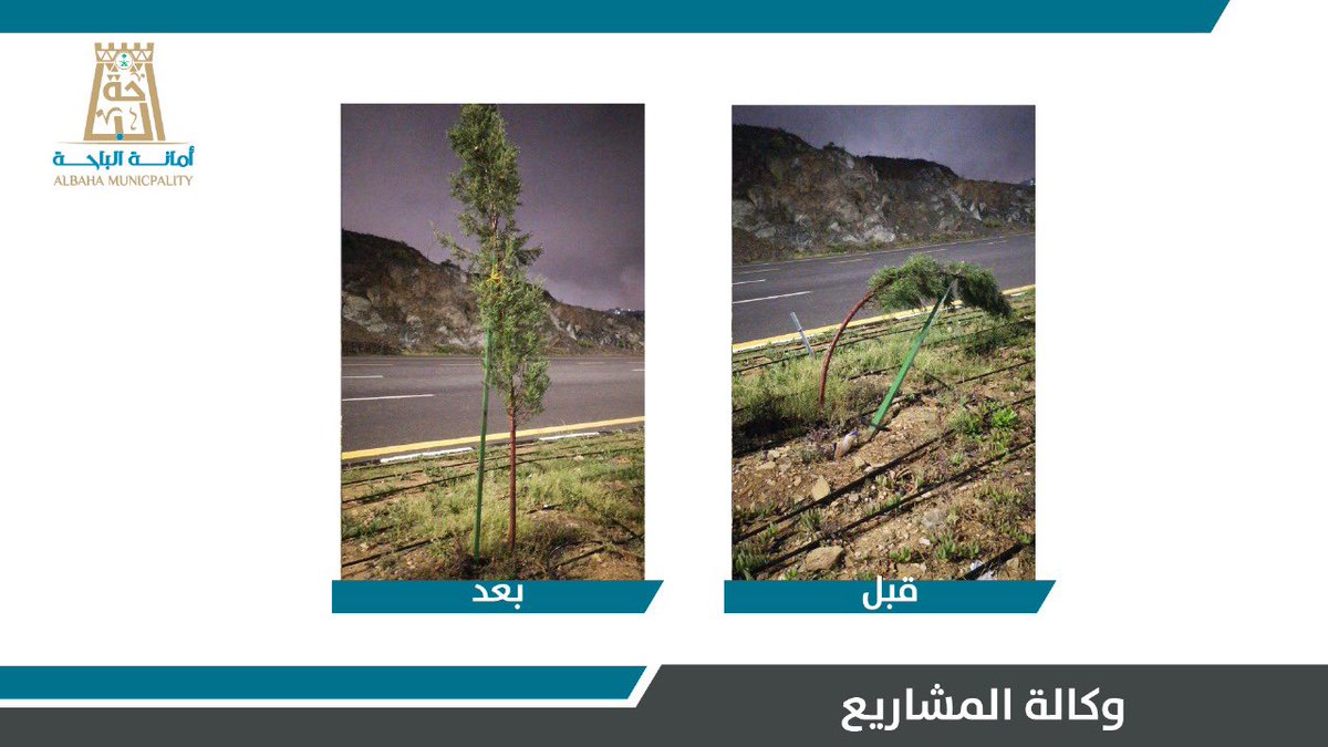 amantalbaha's tweet photo. #وكالة_المشاريع 
ممثلة في ادارة التشجير و الحدائق تواصل
أعمال صيانة الجزر الوسطية..

#أمانة_منطقة_الباحة
#وزارة_الشؤون_البلدية_والقروية_والإسكان https://t.co/xUAbnT73Mm