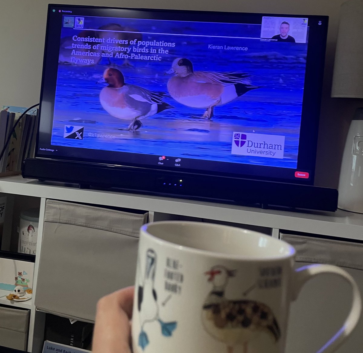 Rachel Dobson (@racheldobson98) on Twitter photo Attending the 24-hour #BOUsci23 online bird migration conference from the comfort of my sofa!☕️ Insightful presentation from <a href="/k1awrence/">Kieran Lawrence</a> on the profound effects of climate and land-use change on migratory bird populations in North America and Europe.🦆🌦️Great start to the morning! Attending the 24-hour #BOUsci23 online bird migration conference from the comfort of my sofa!☕️ Insightful presentation from <a href="/k1awrence/">Kieran Lawrence</a> on the profound effects of climate and land-use change on migratory bird populations in North America and Europe.🦆🌦️Great start to the morning!
