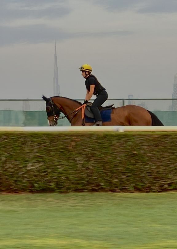 احمد بن طوق tweet media