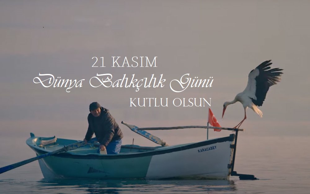 21 Kasım Dünya Balıkçılık Günü kutlu olsun.
#DünyaBalıkçılıkGünü  #WorldFisheriesDay
@ibrahimyumakli @tuncay_akkoyun @MenduhDinler @BSaruhan8740