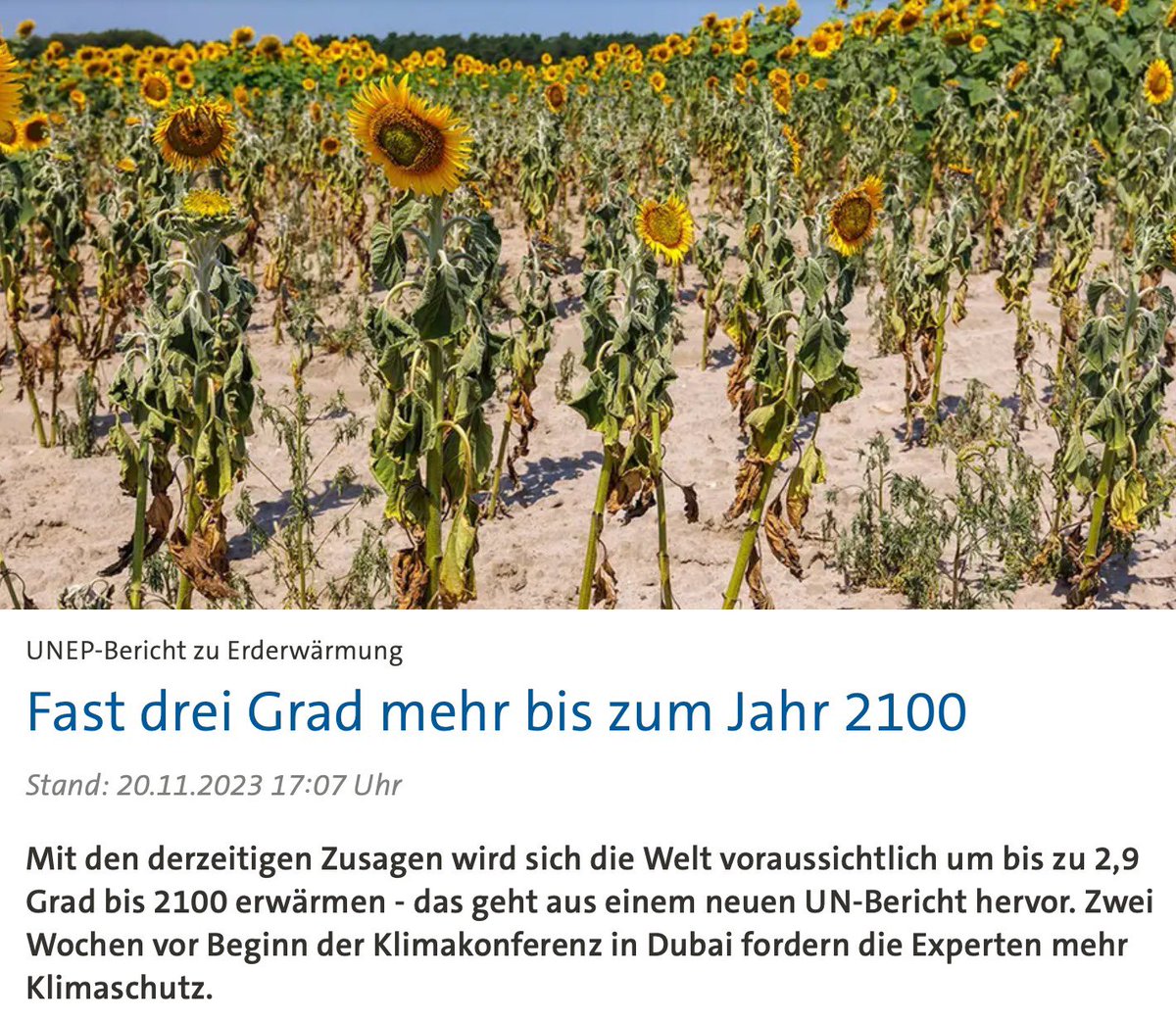 Um uns klar zu machen, was diese Zahlen bedeuten:
- mehr Hitzesommer mit zehntausenden Hitzetoten
- Waldbrände und Extremniederschläge zerstören ganze Landstriche
- Dürren verursachen Hungerkrisen
- Gebiete, in denen mehr als 2 Milliarden Menschen wohnen, werden unbewohnbar