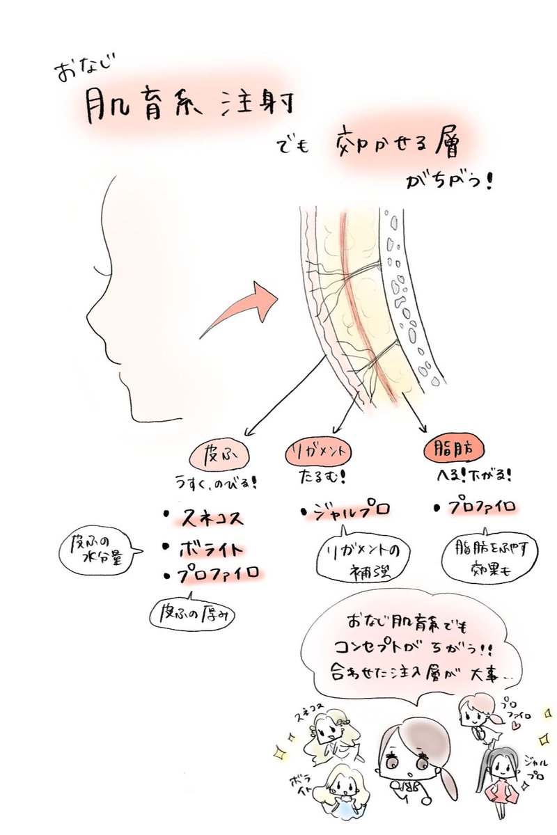 drsleeepy's tweet photo. 肌育系注射って実はすべて効く層とコンセプトが絶妙に違う！

・スネコス→肌のコラーゲン⤴︎︎︎(小じわに)
・ジャルプロ→リガメント強化(たるみ予防)
・プロファイロ→肌のコラーゲン、脂肪⤴︎︎︎
(たるみ予防・ボリュームロスに)
・ボライト→肌のコラーゲン、水分量⤴︎
(小じわ、乾燥に) https://t.co/pZtDhxIsAq
